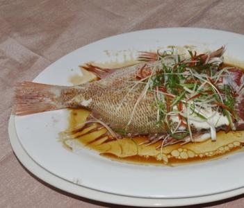 海鱼烹饪食法 海鱼的烹饪方法_海鱼怎么烹饪好吃