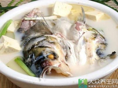 鱼头炖豆腐的家常做法 家常鱼头炖豆腐怎么做 鱼头炖豆腐的好吃做法
