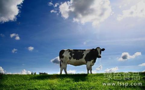 奶牛乳房炎综合防治 春季奶牛感冒防治