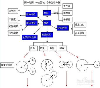 生物学习方法和技巧