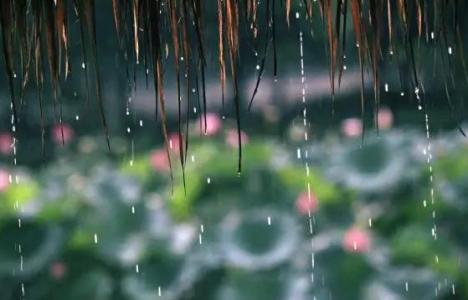 南方的梅雨季节是几月 梅雨季节是什么时候