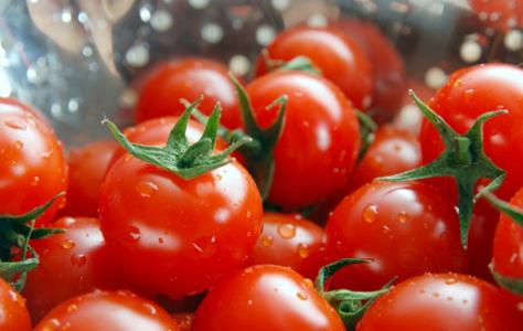 如何挑选西红柿图解 怎样挑选好的西红柿