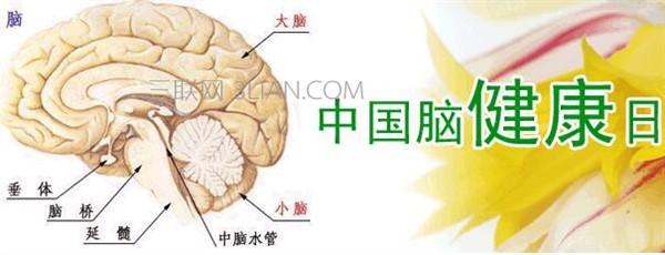 2016年冬至是哪一天 2016中国脑健康日是哪一天