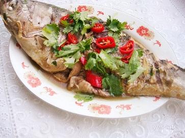 鲢鱼的烹饪技巧 烹饪鲢鱼的菜谱