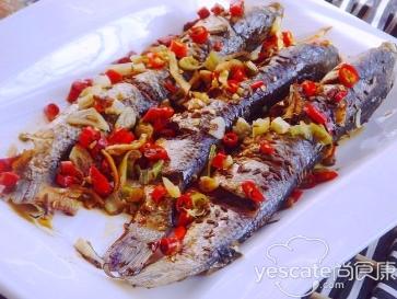 烹饪 墨古加格梭鱼 烹饪梭鱼的菜谱