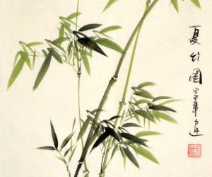 描写竹子的词语 描写“竹子”的常用词