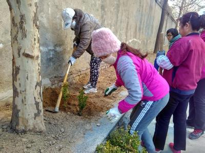 社区植树节活动方案 最新社区3月12日植树节活动方案
