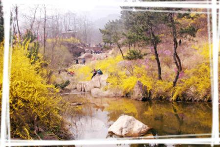 清明节青岛周边旅游 清明节青岛旅游攻略