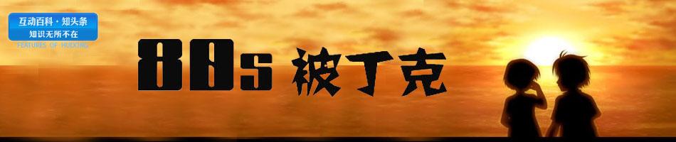 10大80后歌唱家音乐会 80后丁克的10大理由