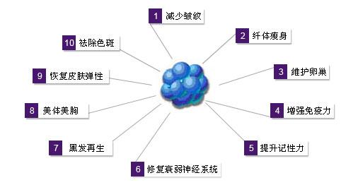 营养时间的最佳选择 抗衰老的最佳营养选择