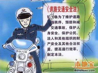 交通违法处罚细则 道路交通违法处罚细则