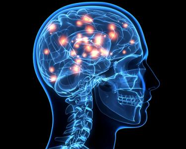 最强大脑科学助理 科学使用大脑