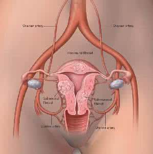 女性月经周期 女性月经周期有哪些小奥秘