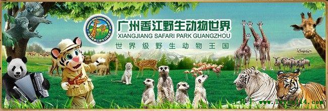 广州香江动物园攻略 广州香江野生动物世界