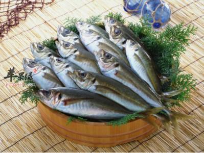 鲭鱼罐头的营养 鲭鱼营养与做法