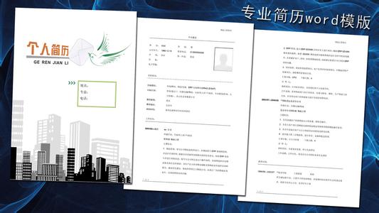 物流经理简历 物流经理英文简历