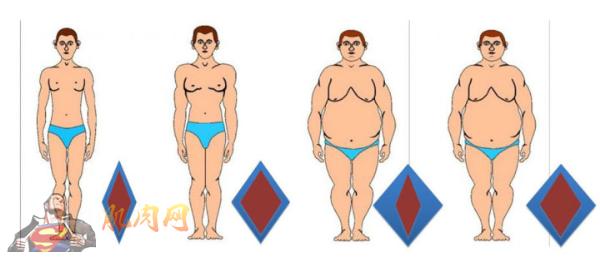 一天减肥2斤的方法 分析各种减肥方法(2)