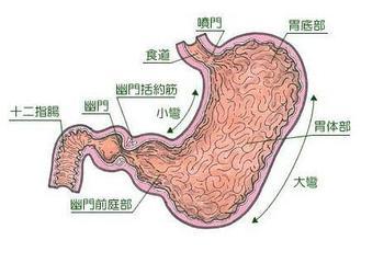 慢性胃炎伴糜烂怎样冶 胃缩性胃炎怎么冶_胃缩性胃炎的治疗方法介绍