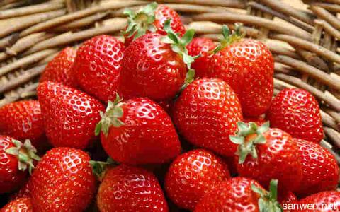 哺乳期饮食禁忌 哺乳期能吃草莓吗 哺乳期吃草莓的禁忌事项