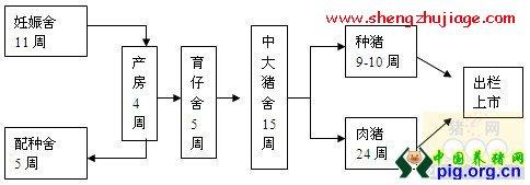 养猪场生产工艺流程 猪场布局与生产工艺设备