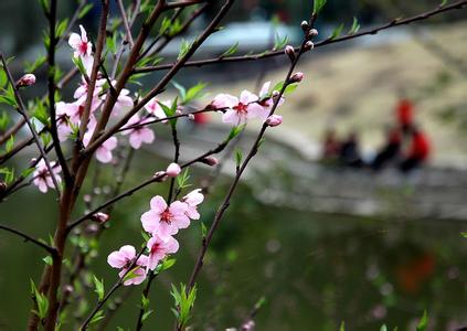 平度桃花涧 汕头桃花涧