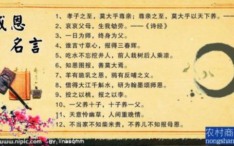 描写中华文化的句子 描写文化活动的句子