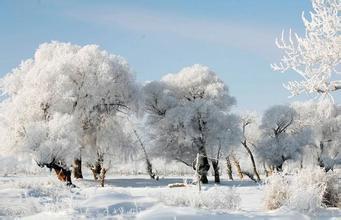 2014年祝福短信大全 2015大雪祝福短信