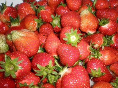 糖尿病人能不能吃草莓 糖尿病人能不能吃草莓 糖尿病人怎么吃草莓好
