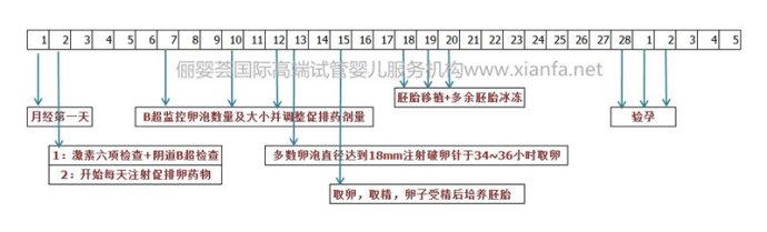 试管短方案 做试管长方案与短方案的区别