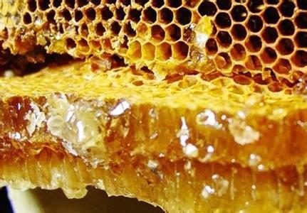 蜂胶提纯 纯蜂胶的特色