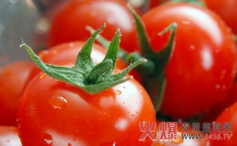 番茄生育期 番茄各生育期管理要点(2)