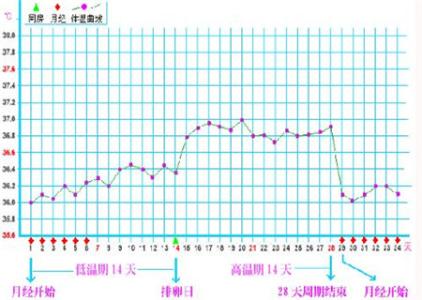 37.5度算发烧吗 正常体温是多少