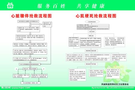 2016心脏骤停抢救流程 心脏骤停抢救流程