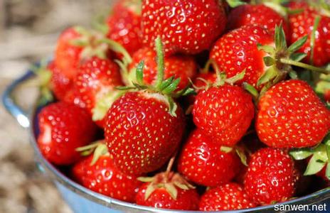 吃草莓的好处和坏处 春天怎么吃草莓才健康 春季吃草莓的坏处