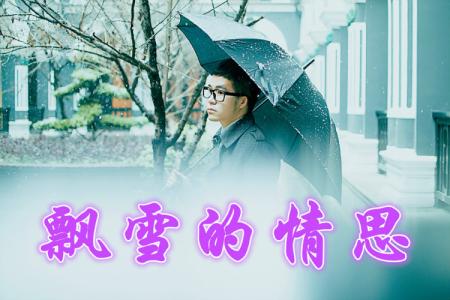 牵动我的情思 飘雪的情思