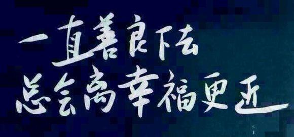 总会有一些善良的狗 一直善良下去，总会离幸福更近