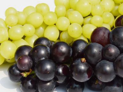 提子和葡萄的区别 提子和葡萄的具体区别