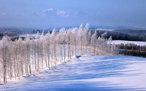 北海道冬季旅游攻略 冬季北海道旅游去哪