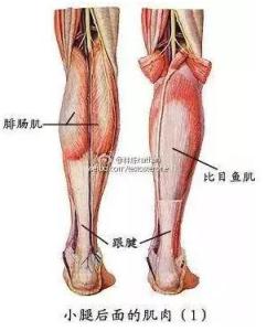 小腿肌肉酸痛用什么药 小腿肌肉酸痛是什么原因