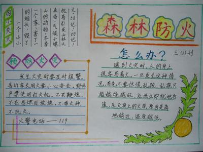 森林消防作文500字 森林消防作文