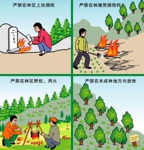 预防森林火灾安全知识 森林火灾预防措施