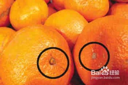 挑选水果的小窍门 如何挑选橘子的小窍门