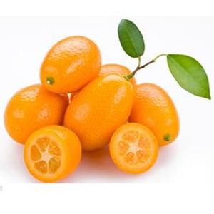 金橘的营养价值 金橘营养与做法