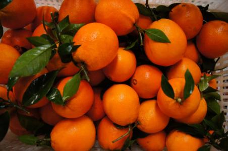 如何挑选脐橙 如何挑选新鲜好吃的脐橙？挑选脐橙的方法