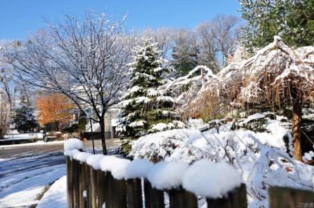 雪中美景的诗句 雪中美景