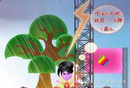 自救小知识漫画 台风预防和自救小知识