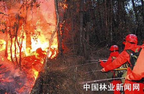 森林火灾灭火方法 扑救森林火灾的方法
