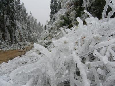 2008年雨雪冰冻灾害 印发防雨雪冰冻灾害报告