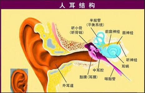 耳朵颜色面相 耳朵颜色暗示身体健康