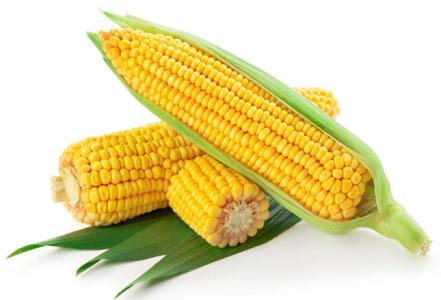 吃玉米的好处和坏处 吃玉米的好处是什么